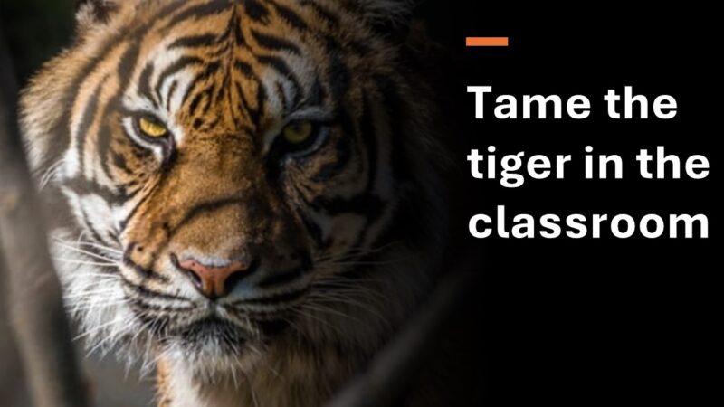 tame-the-tiger - Human eSources